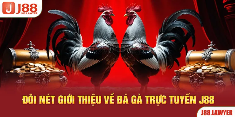 Đôi nét giới thiệu về đá gà trực tuyến J88