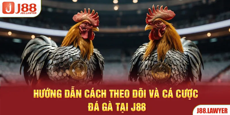 Hướng dẫn cách theo dõi và cá cược trong game tại J88